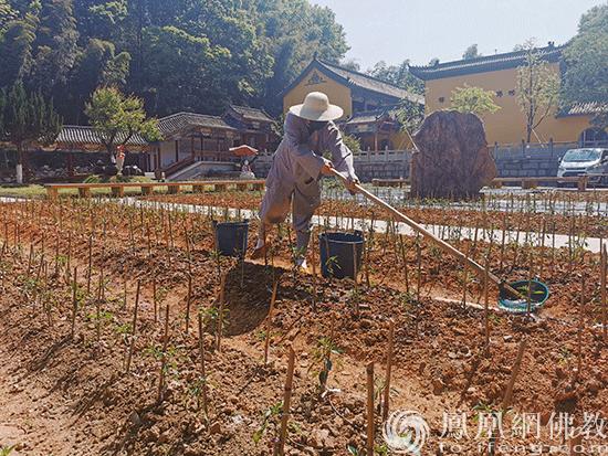 五祖寺和五祖禅院有什么区别,农禅合一起源