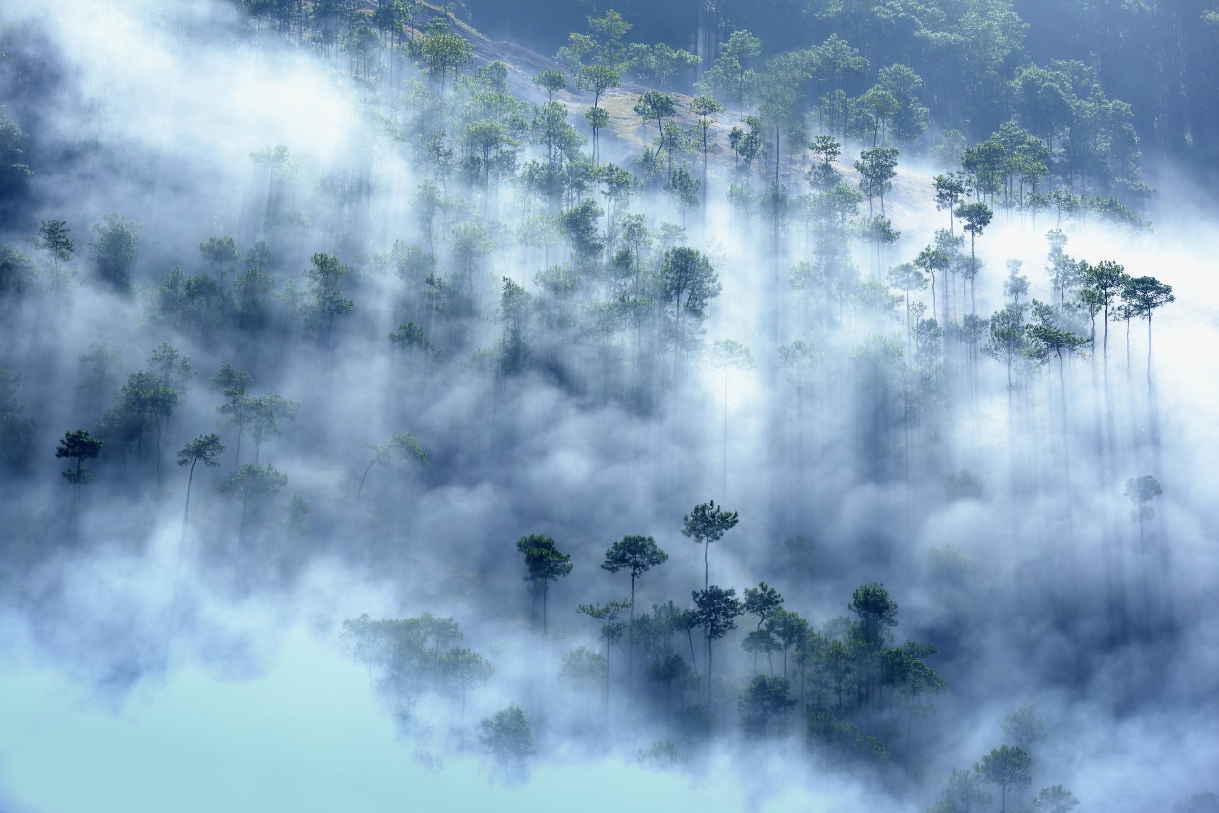 会东县最新县情