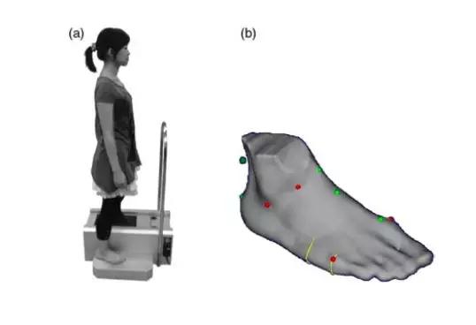 埃及脚希腊脚罗马脚区别,罗马脚希腊脚埃及脚