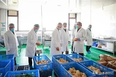 湖北孝感高考复学政策最新,孝感复学通知