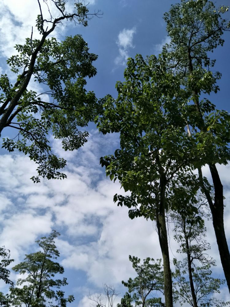 种地用的自制酵素,酵素种地效果怎么样