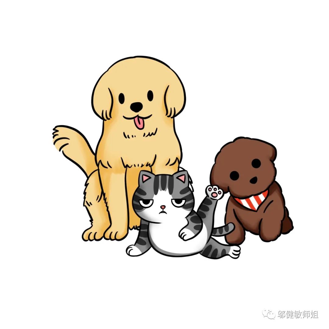 开宠物店一个月要卖多少只宠物,开宠物店赚钱真的假的