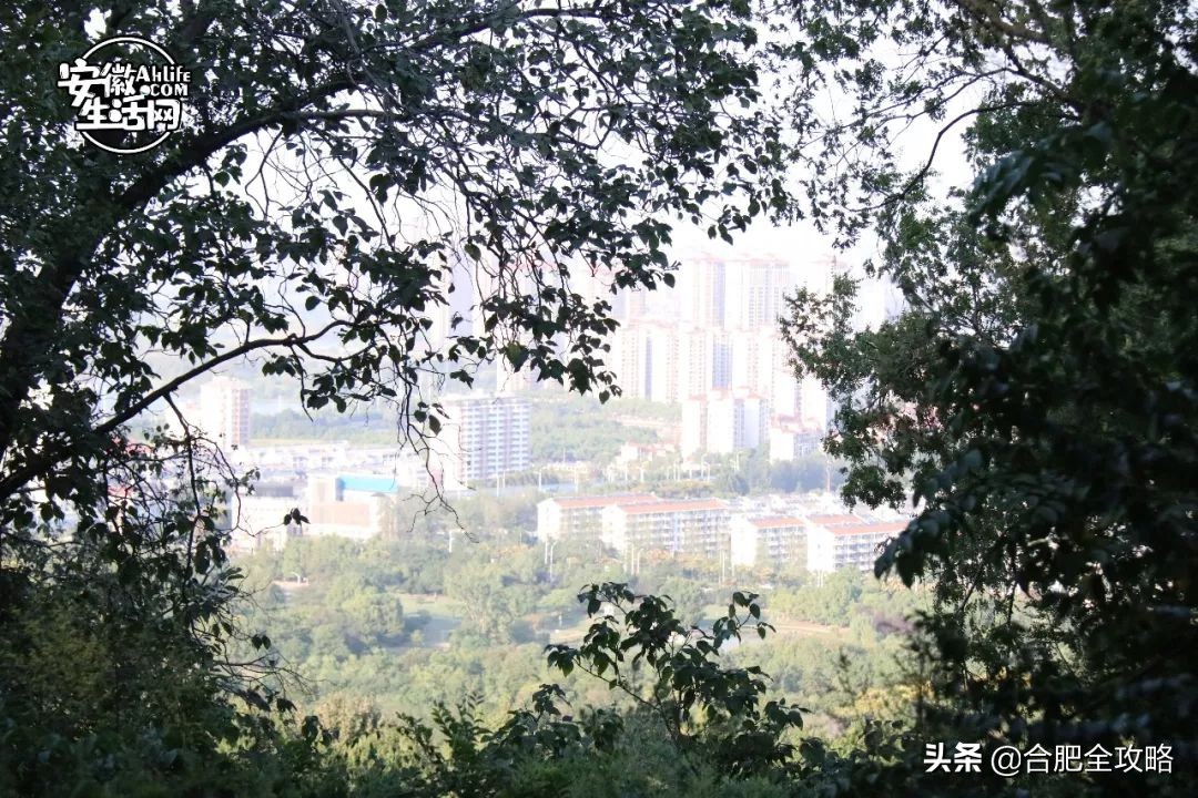 大蜀山,大蜀山爱情故事