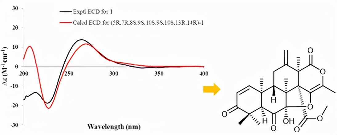 小分子化合物结构分析,小分子化合物分子建模的步骤
