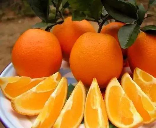 江西客家美景,江西客家县市