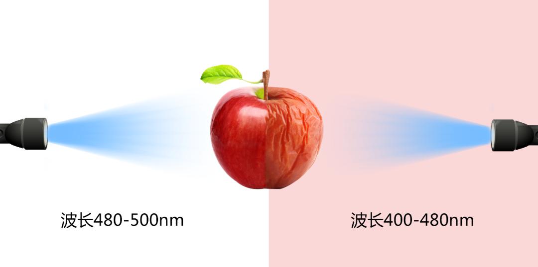 蓝光真的有用吗,蓝光都是有害的吗