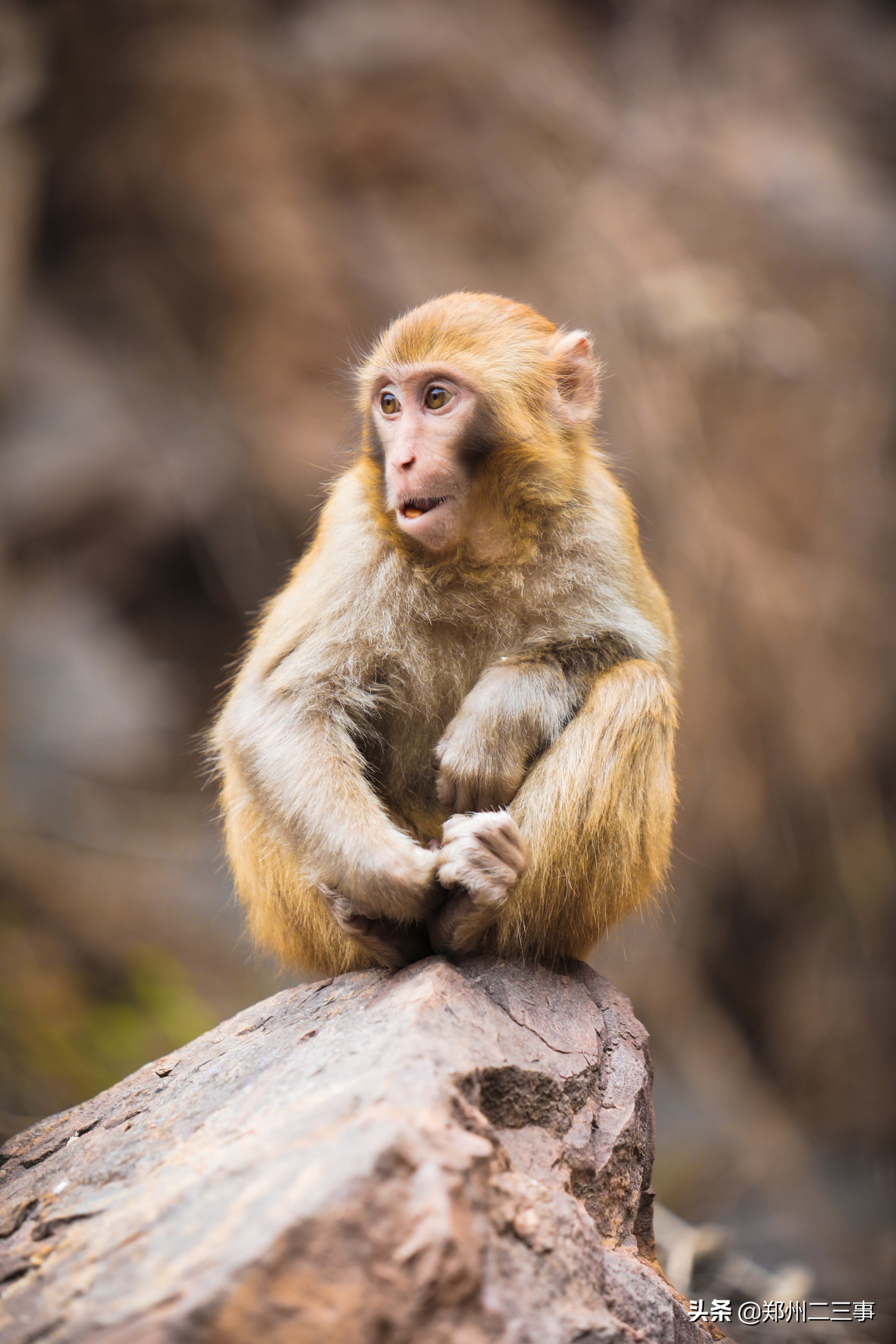 郑州惠济区免费遛娃好去处植物园,郑州遛娃踏青好去处