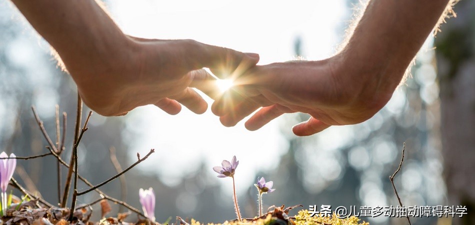 一个真实的故事给我们启示,一个真实的故事表达的是什么