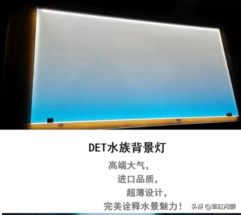 草缸造景新手入门,造景为什么一定要沉木或者杜鹃根