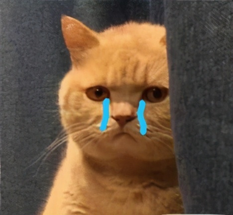 为什么说塞尔达是满分神作,塞尔达传说只有30帧吗