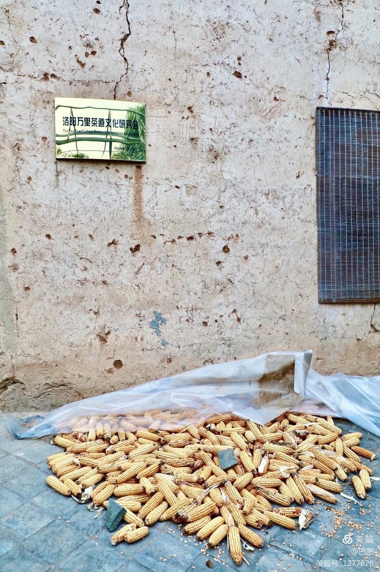 游玩万安山,洛阳万安山游玩攻略