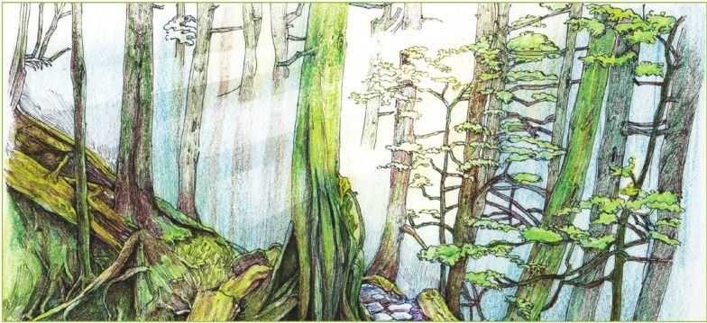 彩铅入门基础教程风景画,彩铅风景画教程简单入门