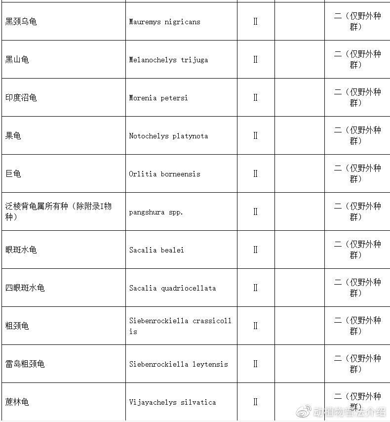 匠志萌宠乐园教学,匠志萌宠