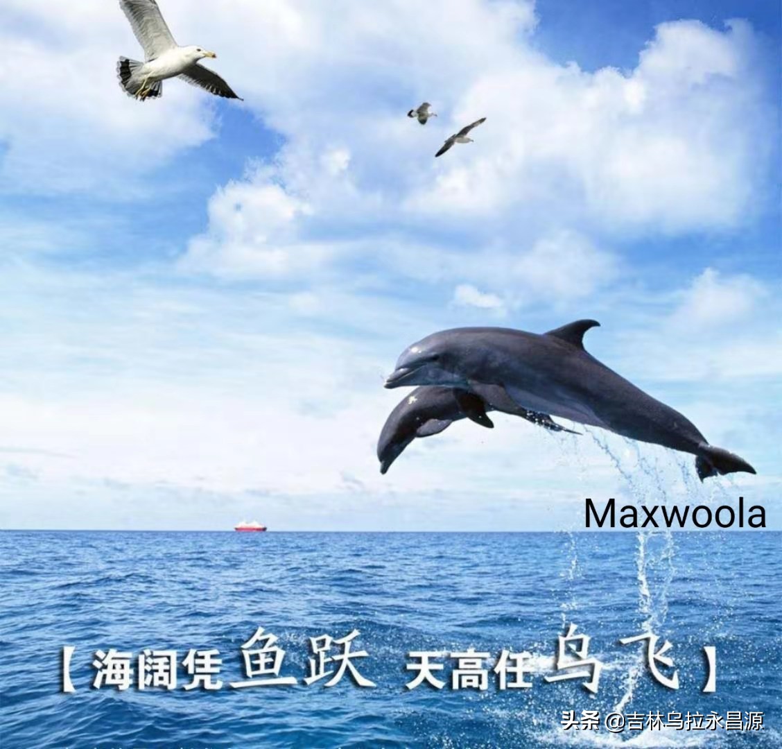 为了改变生活努力拼搏,为了改变努力奋斗