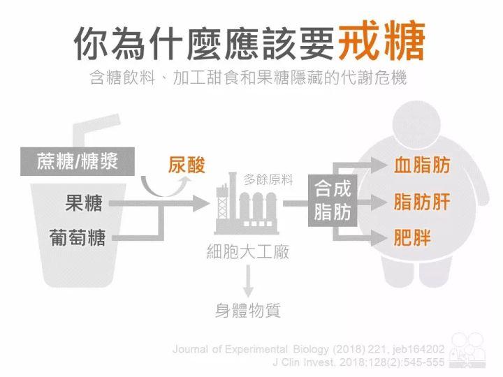 9.0苏打水测评,苏打水无糖推荐