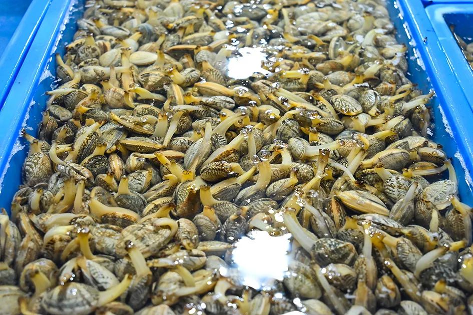 北京南城最大的早市在哪里,北京大兴早市哪个最好