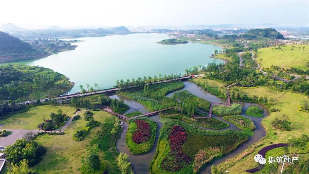 贵安久安,贵州省久安贵茶