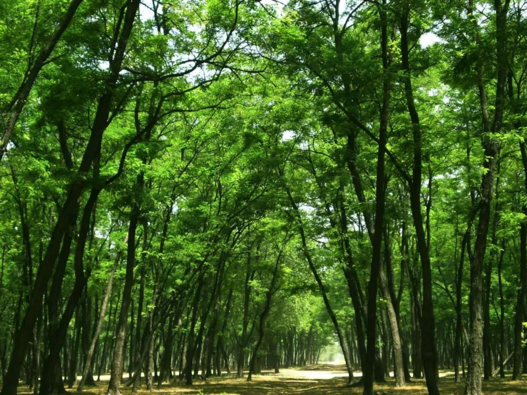 践行使命担当谱写青春华章,践行嘱托争出彩