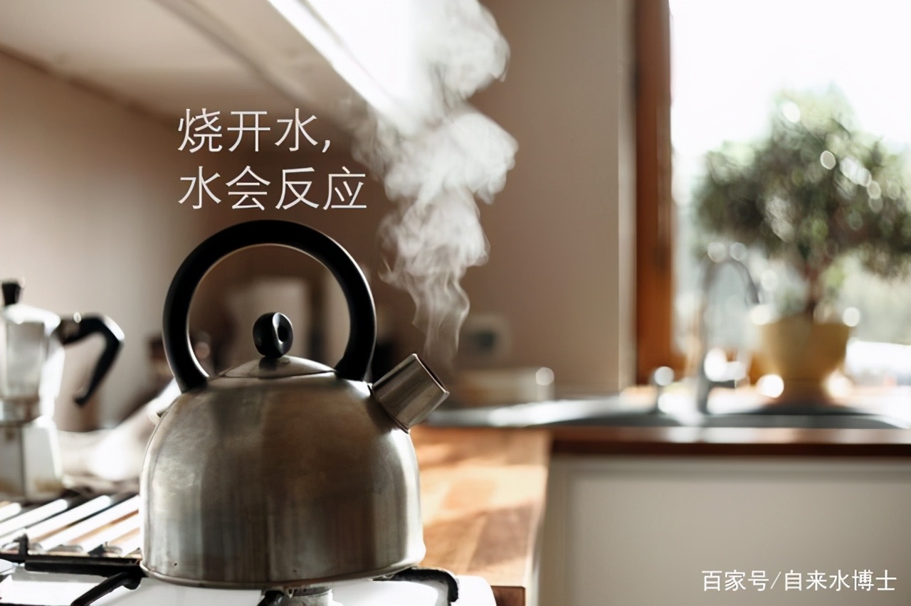 烧开水是怎么样的,烧开水的正确方法