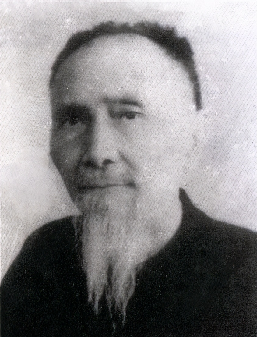 杜心五的武功有多强,杜心五徐矮子是谁