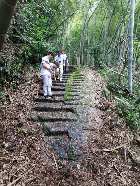 江湖路的风景视频,江湖路上走走停停