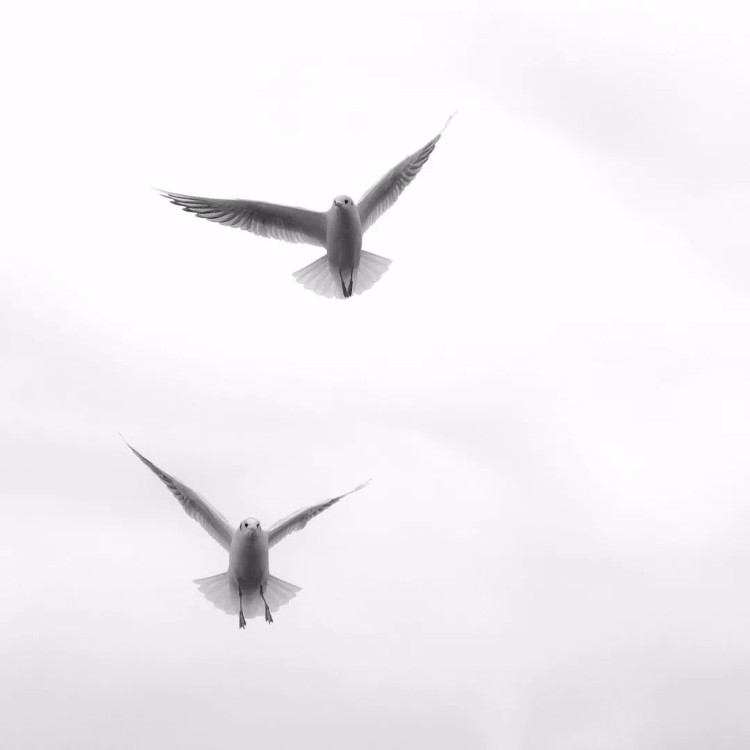 iphone手机相机的各个功能介绍,新手iphone使用关注事项