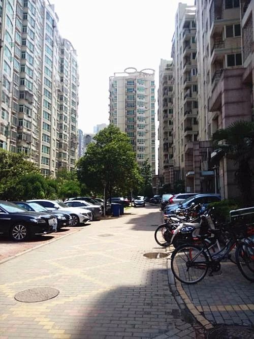 郑州“神校”强势来袭，扭转区域学校新格局，学区如何正确选择