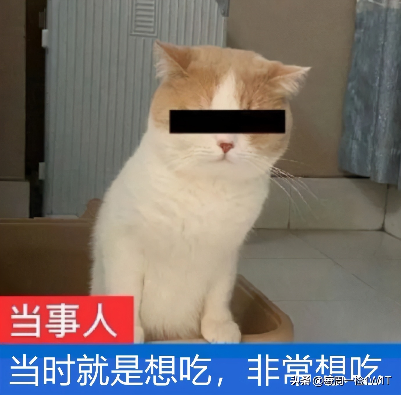 牛蛙检出禁用兽药吃了会怎么样,牛蛙检出禁用兽药警示