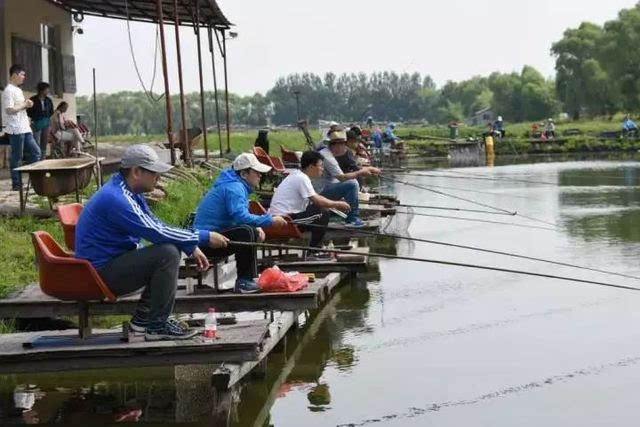 竞技钓入门视频教程,竞技垂钓新手入门