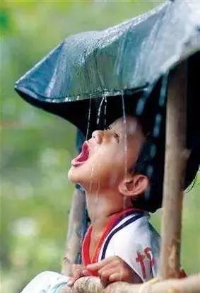 生存小技巧钻木取火,荒野生存取水技巧