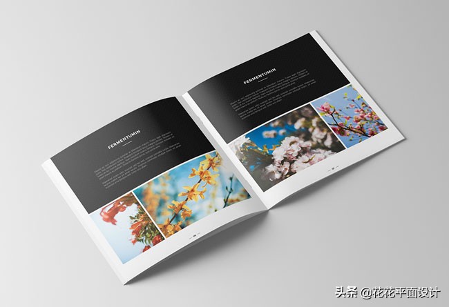 画册版式设计欣赏,艺术画册版式欣赏