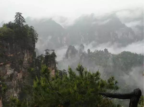 在张家界旅游遇到雨天,去张家界旅游哪个风景最好