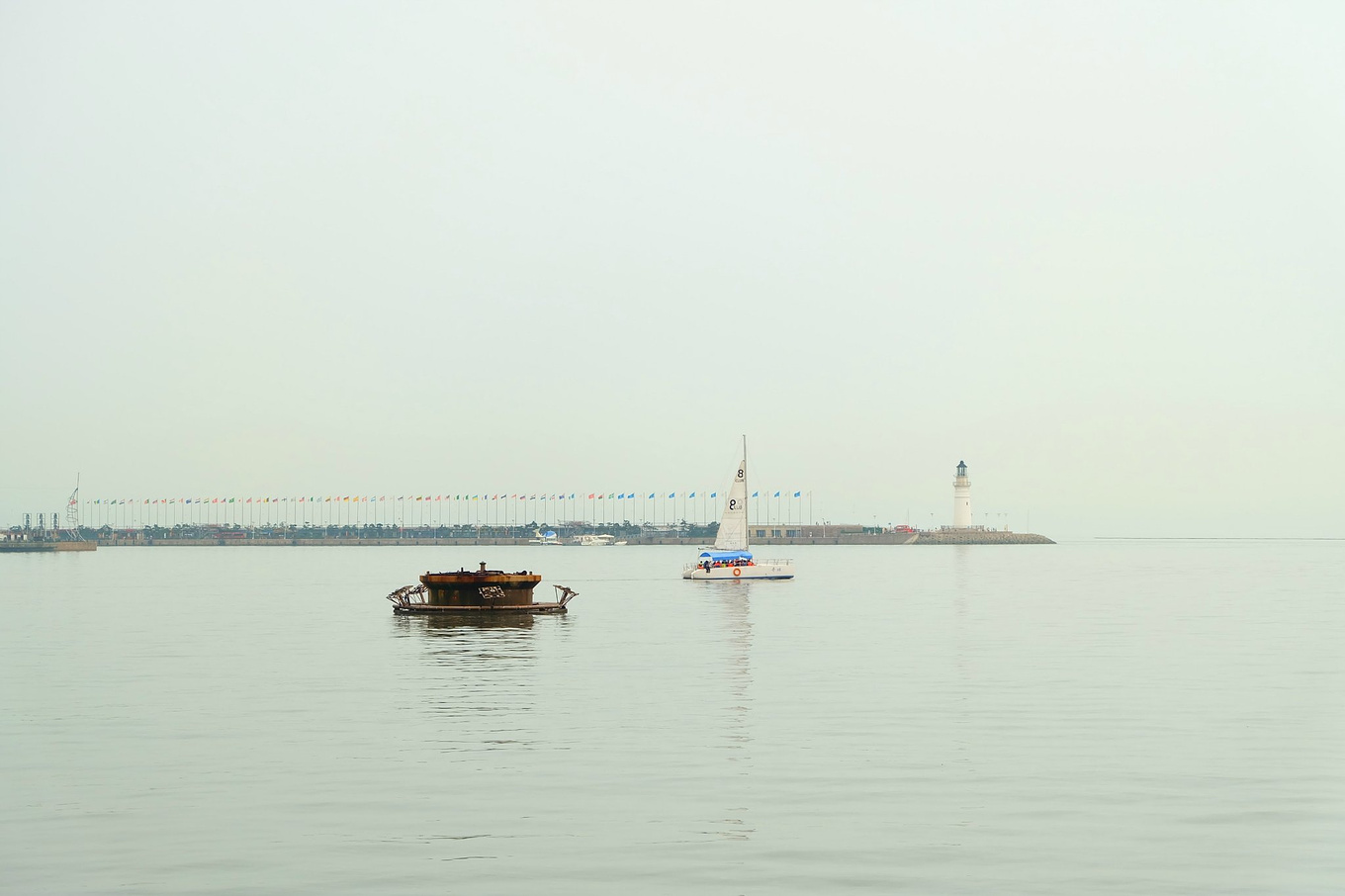 骆驼青岛,骆驼旅行在路上