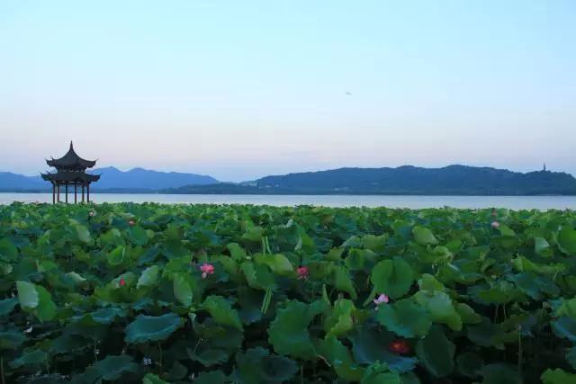 杭州片儿川美食攻略,杭州旅游攻略美食最新
