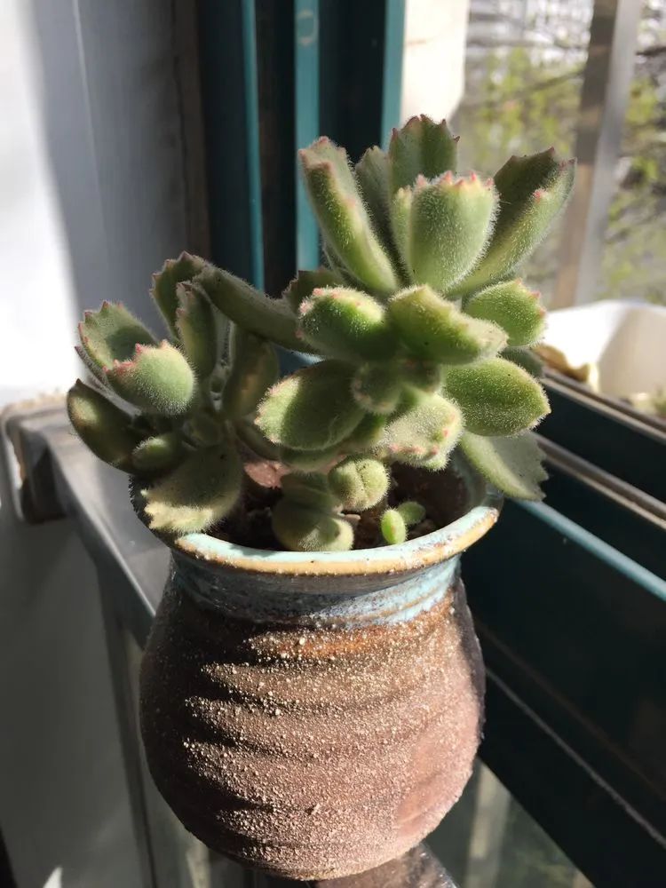 一见倾心二见,一见倾心二见倾城三见定终身