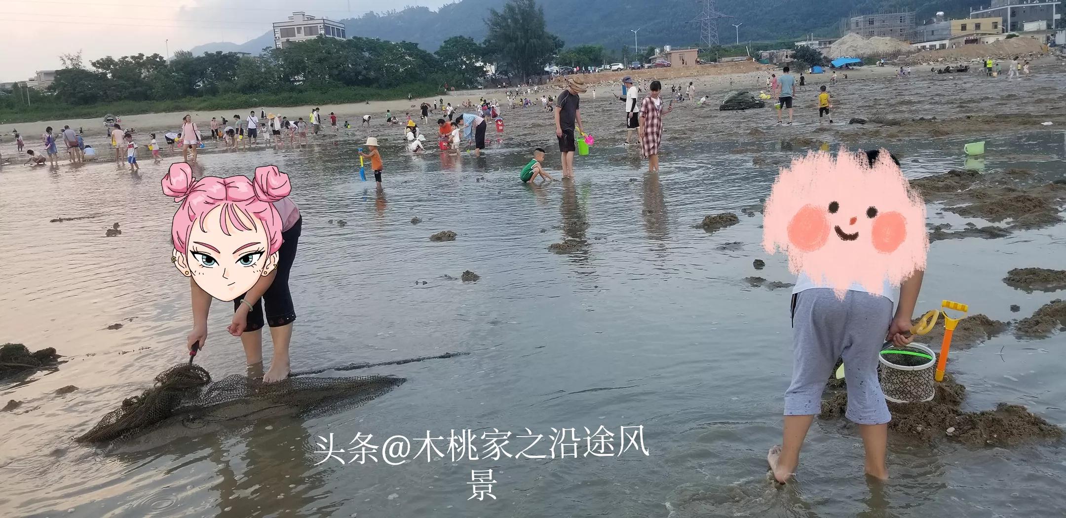 东平赶海沙滩,东平赶海最佳地方