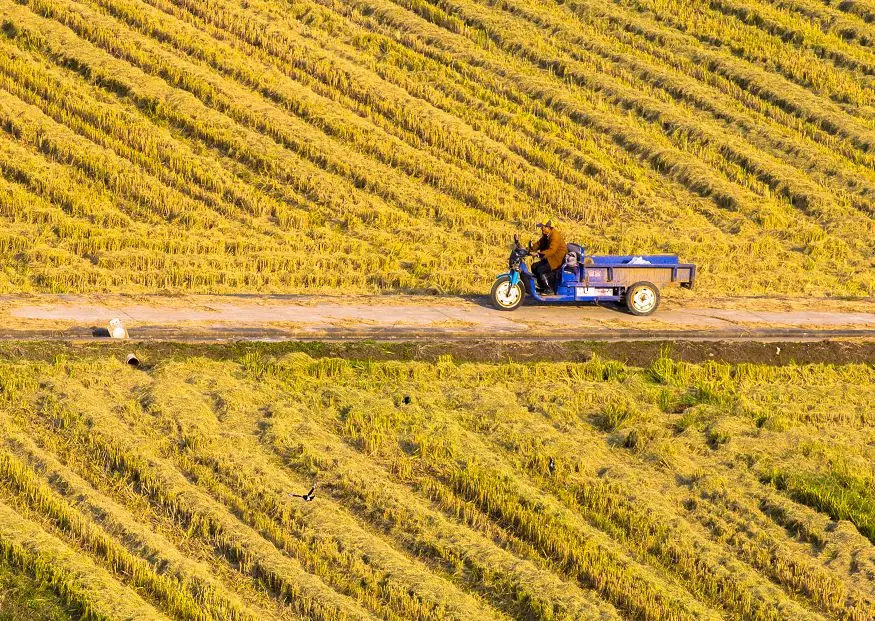 南京是什么样的城市,南京是什么颜色的