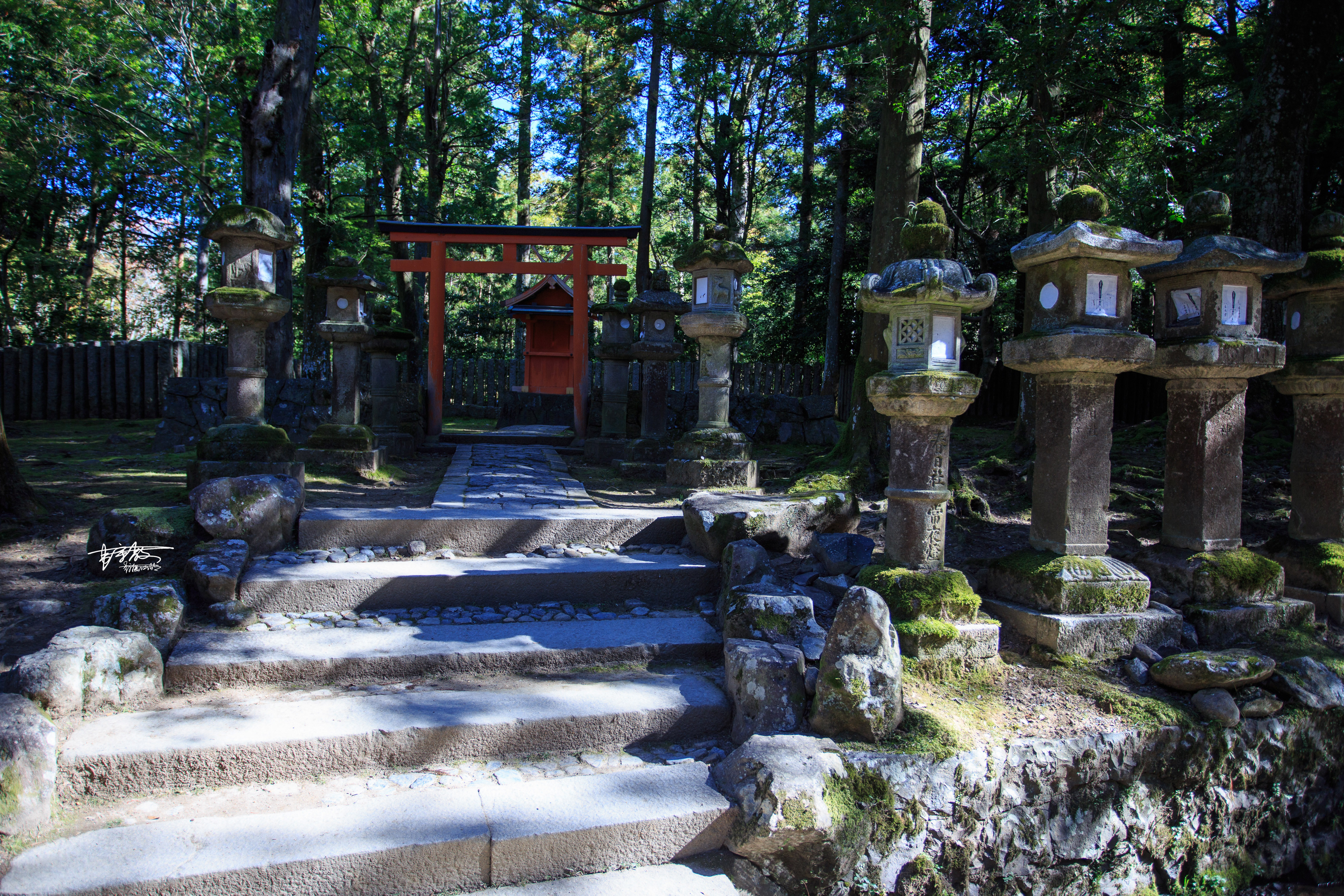 网红打卡景点奈良,日本奈良10大网红打卡景点