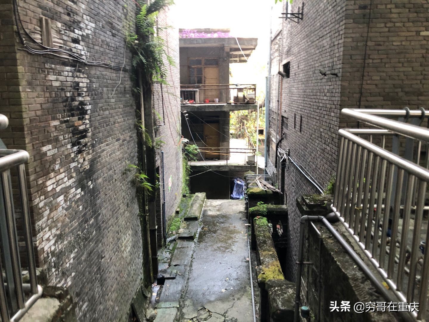 重庆市巴南区发展前景怎样,重庆巴南区未来十年发展