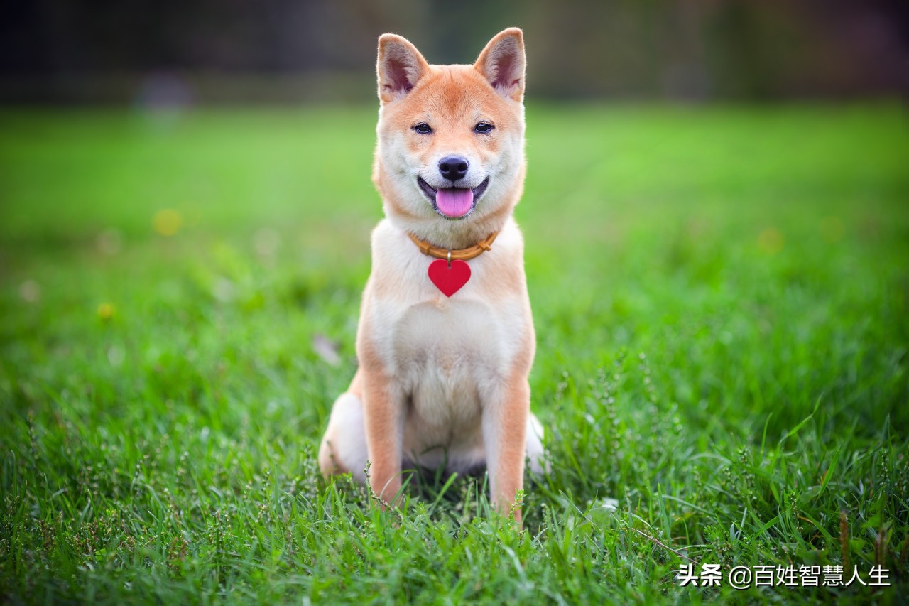 手指开裂到底是怎么回事呢？
