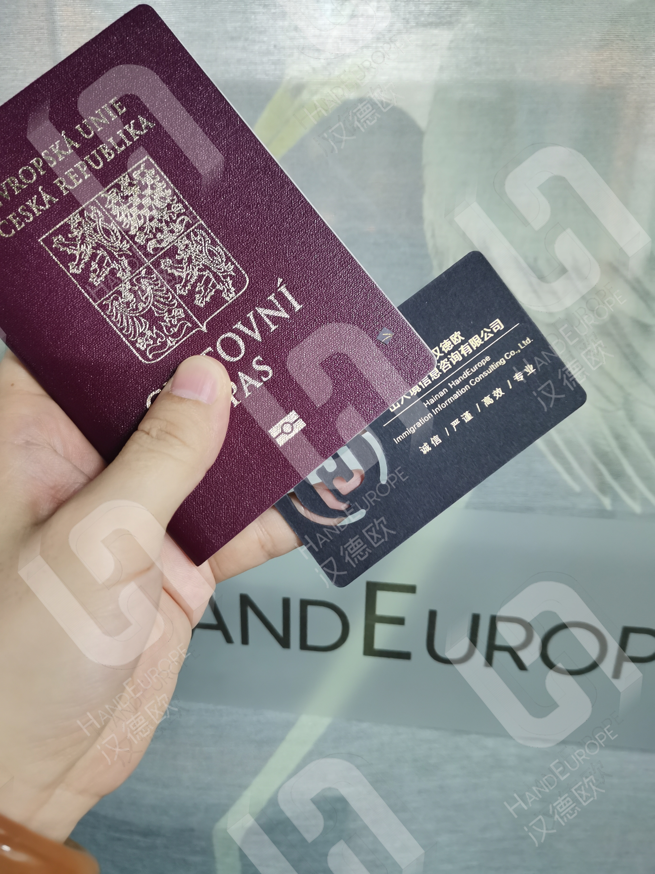 移民后父母可以过去吗,移民后父母的宅基地