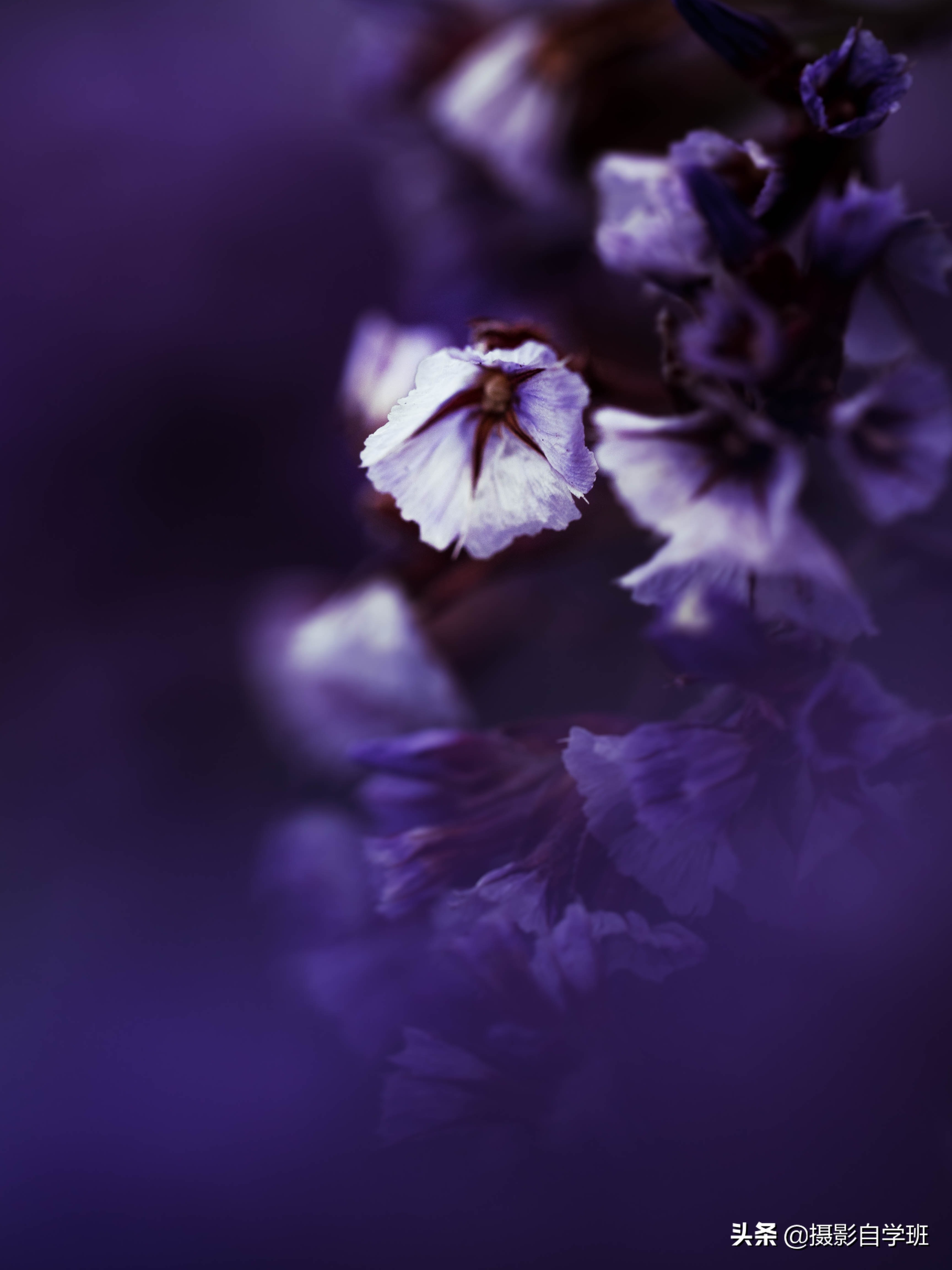 手机拍照11个绝招推荐,手机拍照技巧100个图解