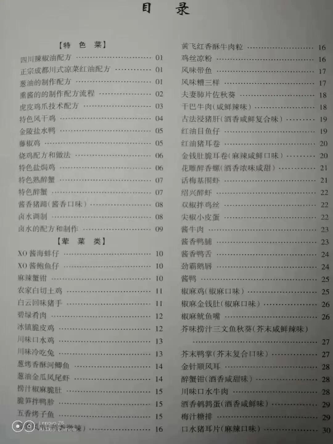 最高级厨师教你家常菜,餐饮特色菜制作技术