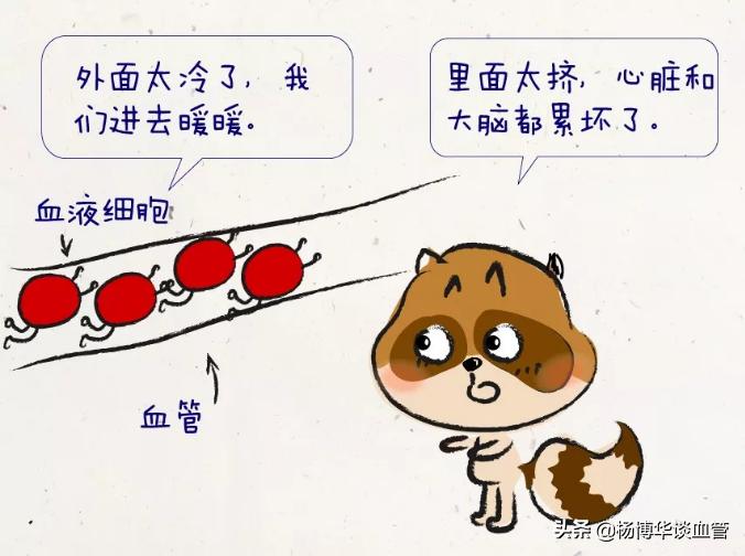 血管遇冷就收缩怎么治疗,如何养护血管保护血管弹性