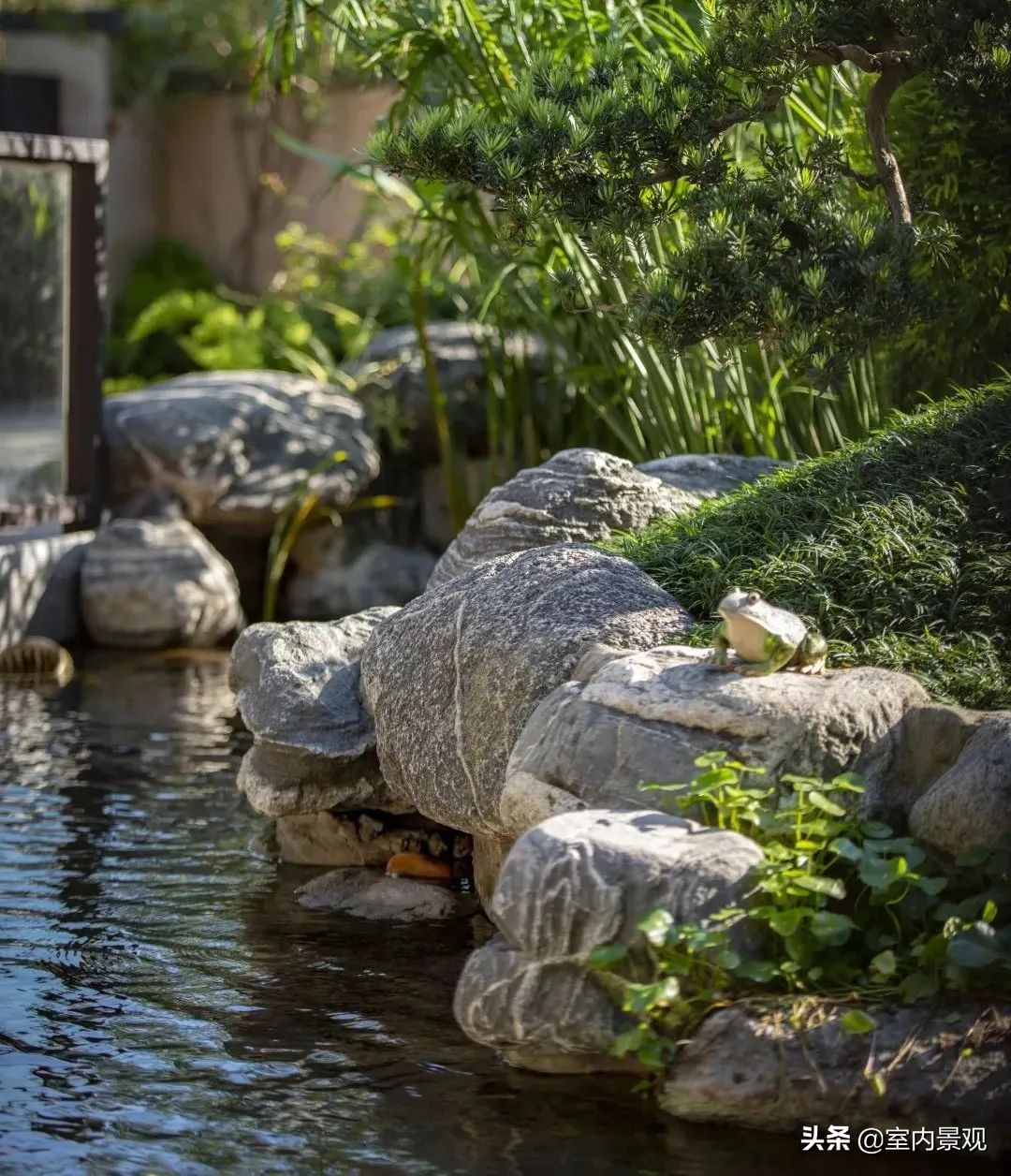 小小庭院美到极致,富有禅意的中国式庭院