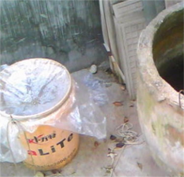 月季水浇多了烂根怎么补救,月季闷根和肥害