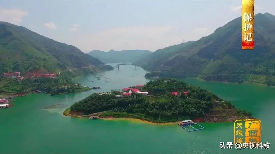 影像方志天峻,中国影像方志四川大竹篇