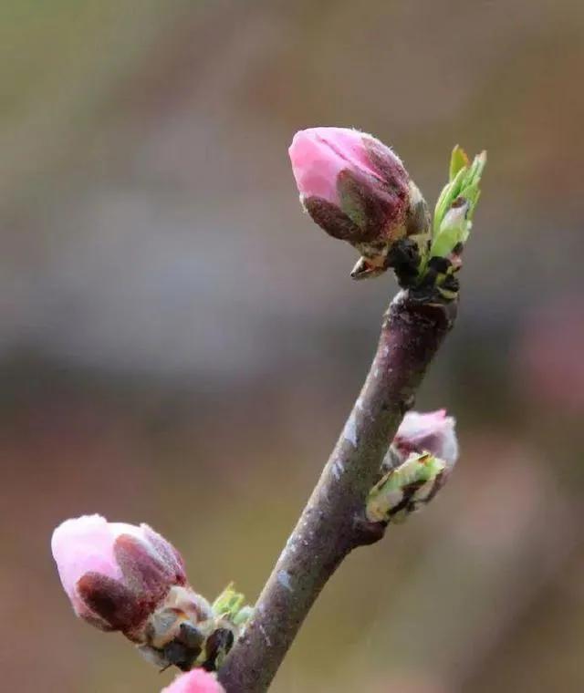 五年级下册第一单元的讲解视频,闽教版五年级下册第一单元partb