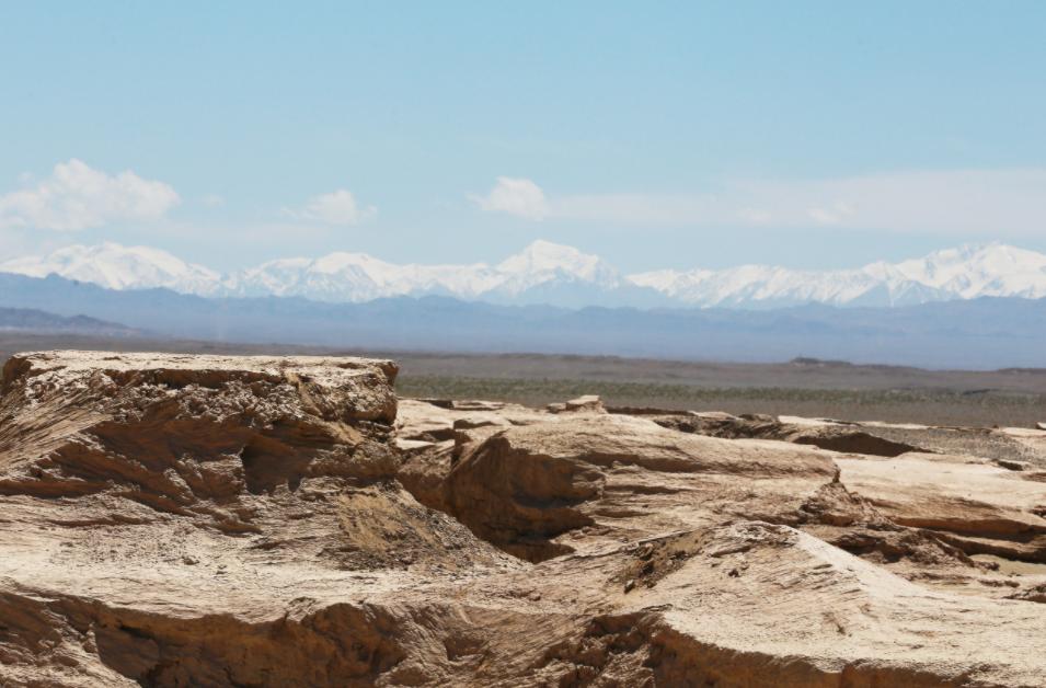地产四大金刚,地产四巨头是真的还是假的