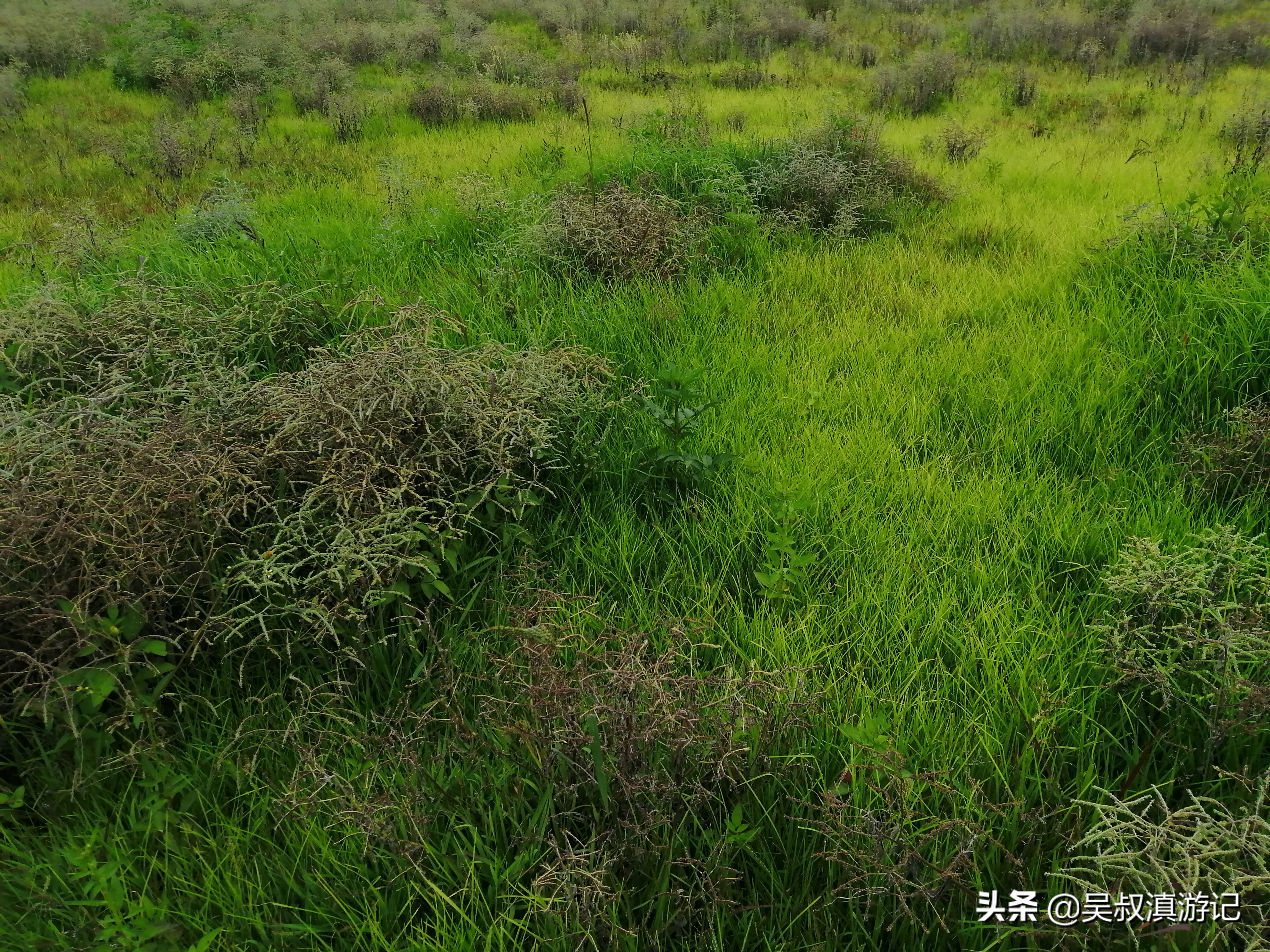 寻找奇石的亲身经历,寻找石盆寺视频